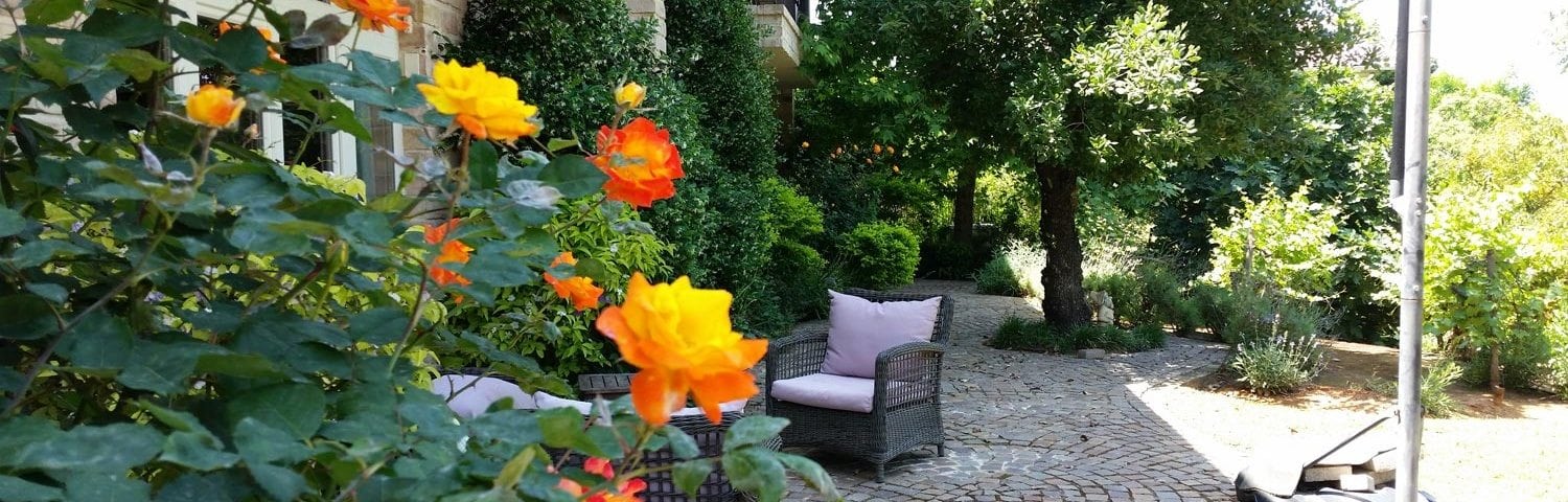 עיצוב גינות בצפון