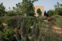 3 טיפים לעיצוב הגינה בדירת גן חדשה בקריות