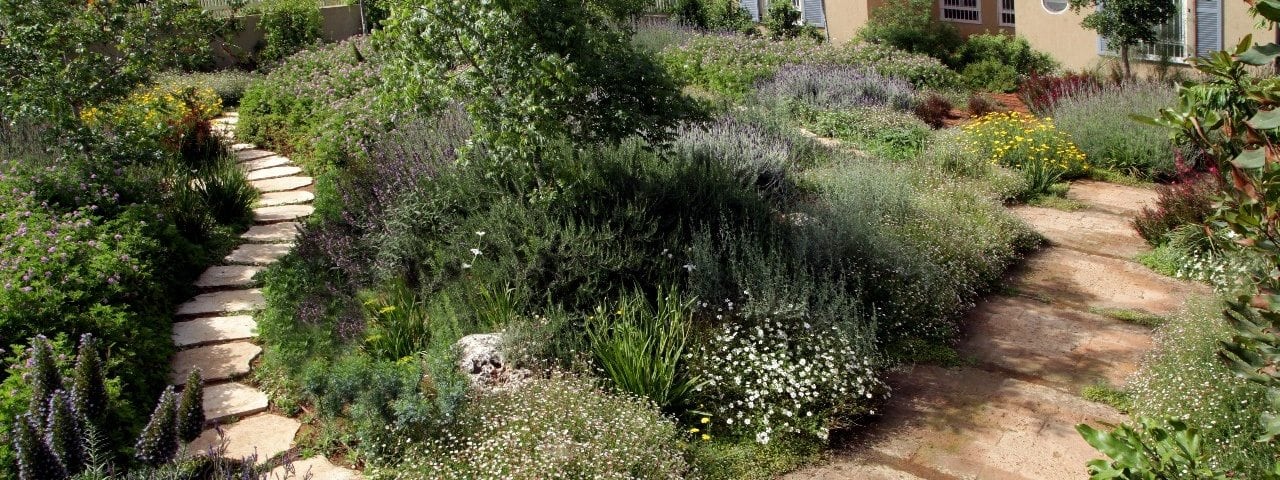 תכנון גינות במרכז