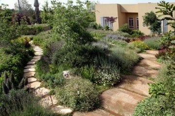 תכנון גינות במרכז