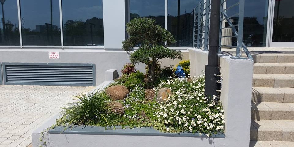 עיצוב גינות קטנות